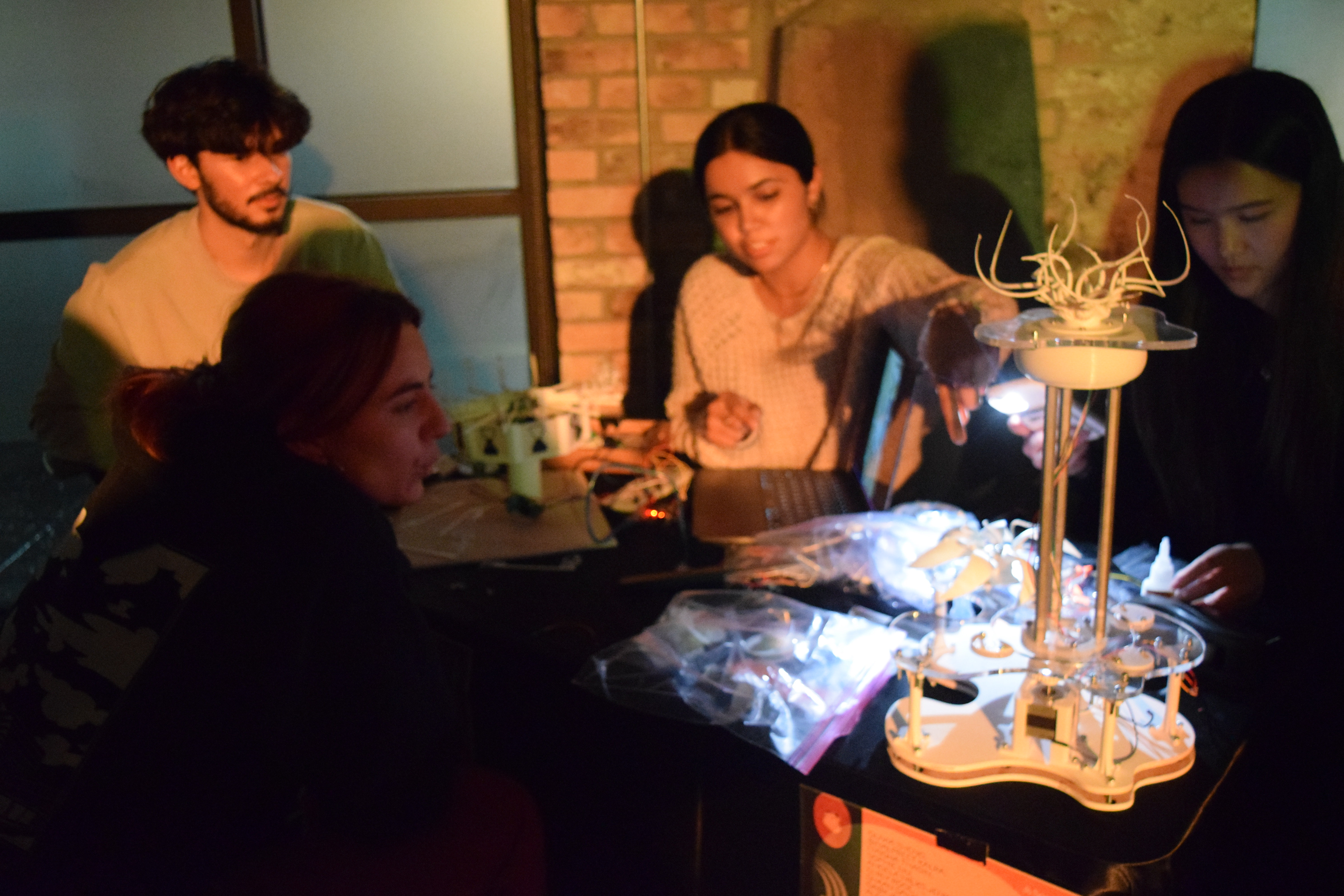 Mind Garden installation at museum