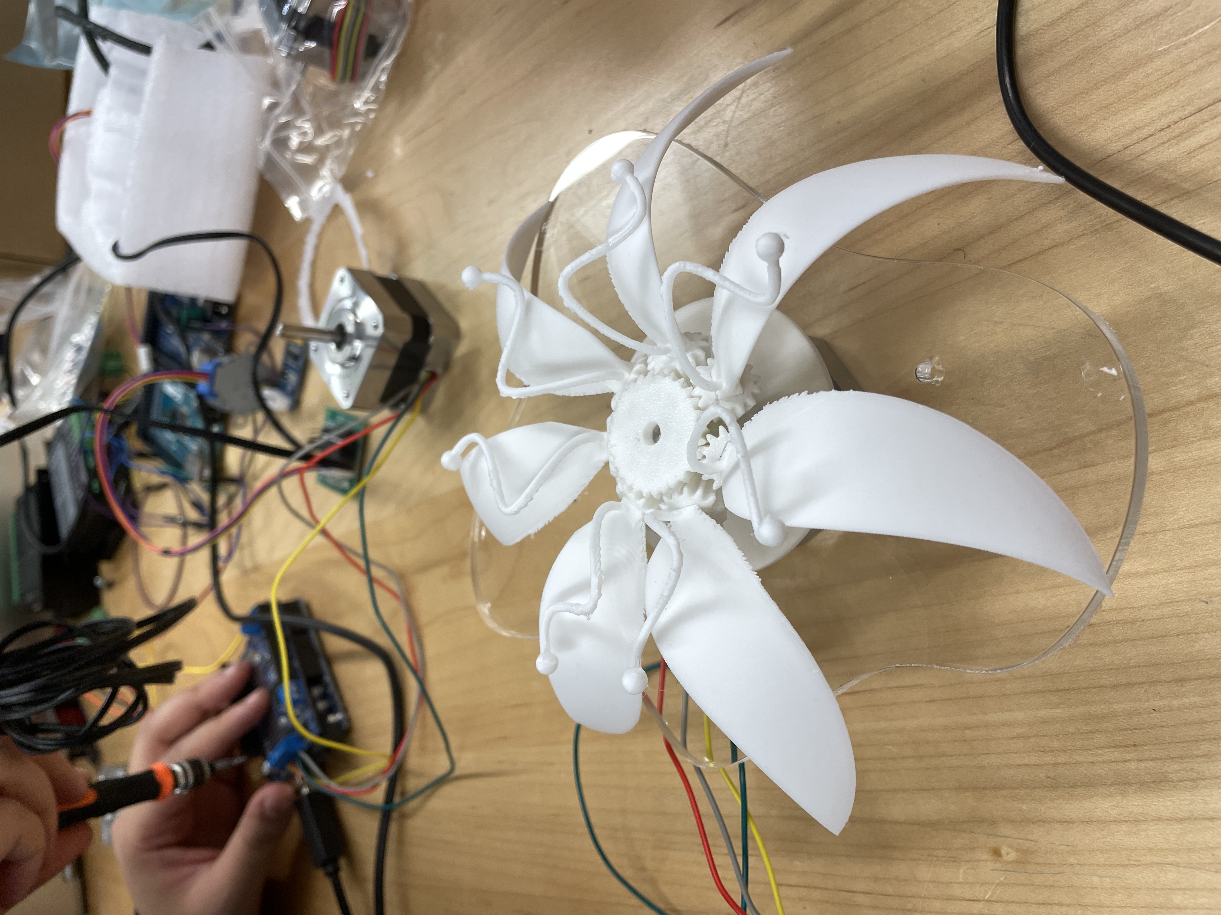 Mind Garden work in progress 1