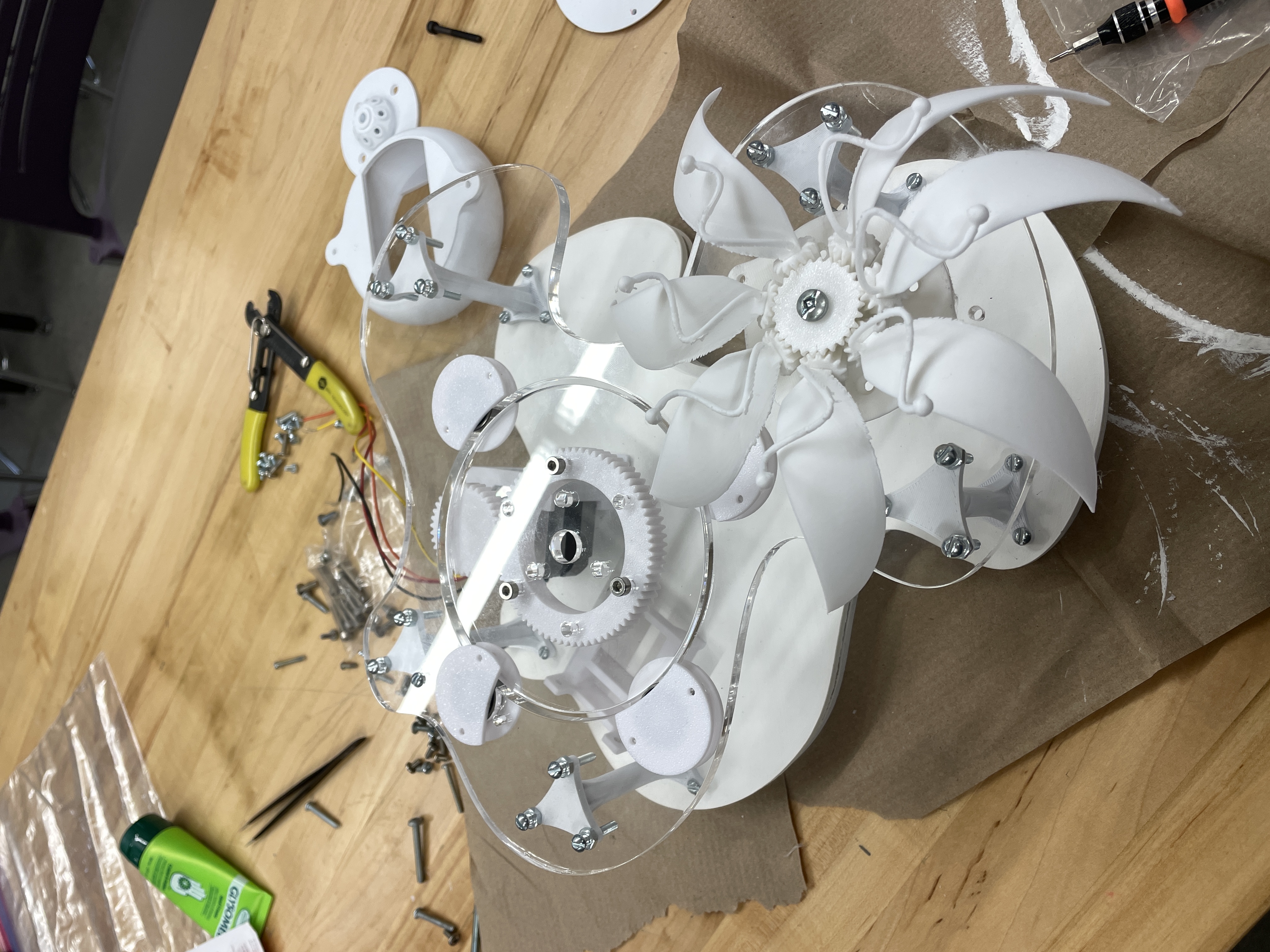 Mind Garden work in progress 2