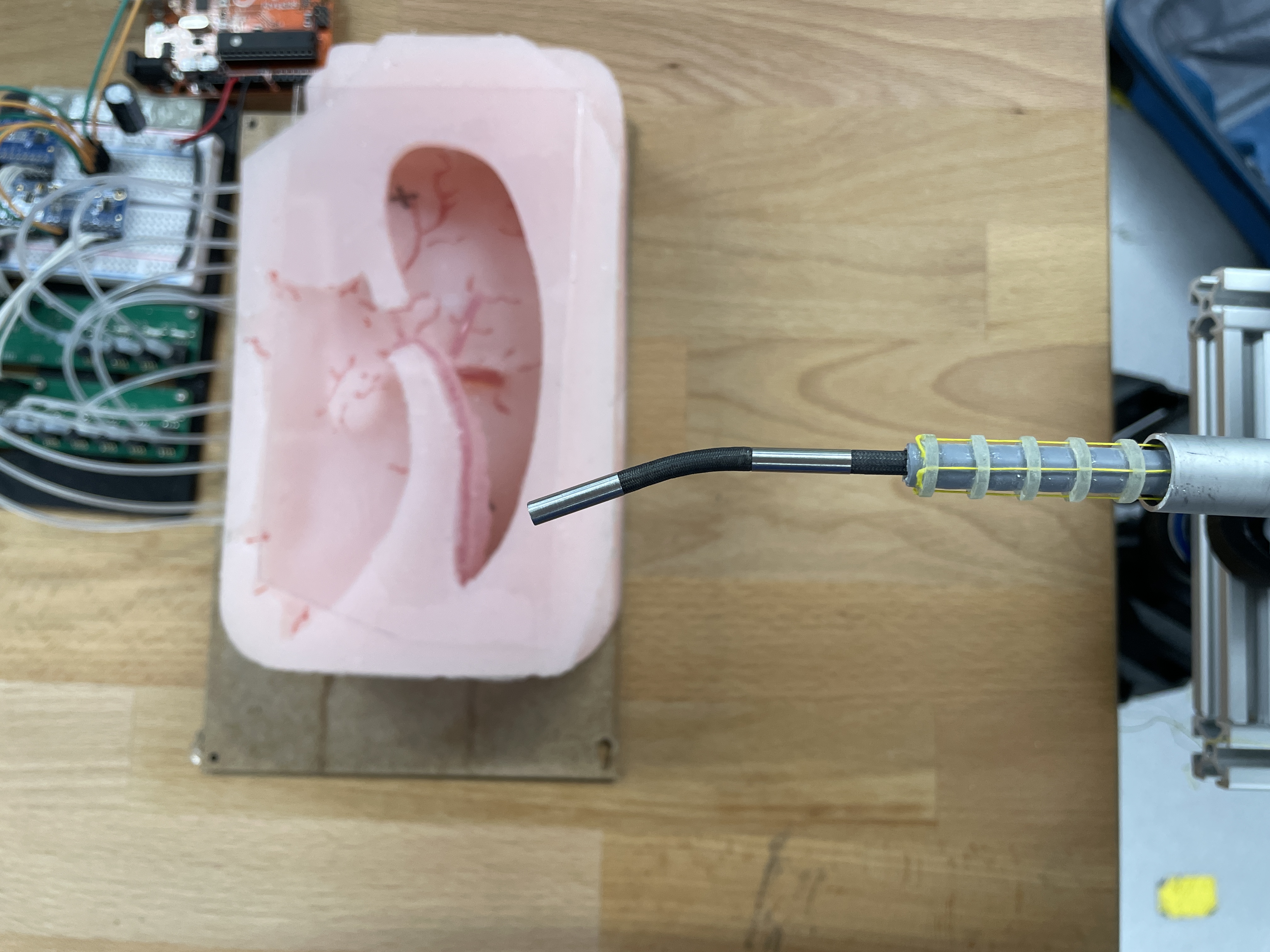 Silicon brain phantom model